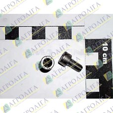 Cap гвинт ISO 4762 6X 12 A2-70