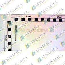 BLI NT 15983 4,0X14,0 A2 / A2