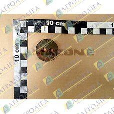 SPAN DISC (FE // // ZN12 С)