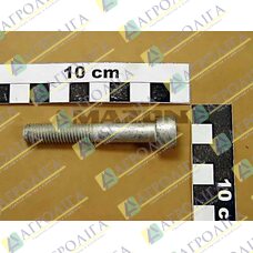 ZYL-SHR 4762 10X 65 10,9 flZn
