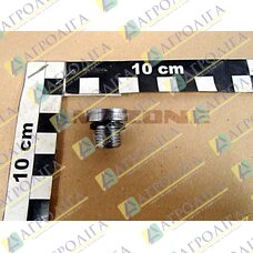 VERSCHLUSSSCHRAUBE G1/4 ZOLL