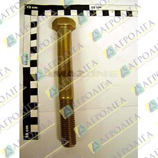 БОЛТ З 6Гр голів. 20X160 8,8