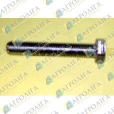 Болт з шестигранною головкою ISO 4017 12X 70 A2-70