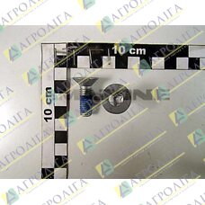 Болт 10x30 10,09