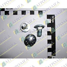 Болт полукр. низька з 4-х гран.подголовнікій 10х20 8,8 А2G