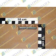 Гвинт з потайною головкою ISO 10642 8X 55 8.8 A2G