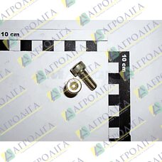 Ковпачок гвинт ISO 4762 8X 20 8,8 А2