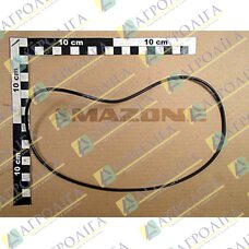 Кільце ущільнювача 202,79X3,53