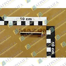 Стопорний болт 10X48 (FE // // ZN12 С)