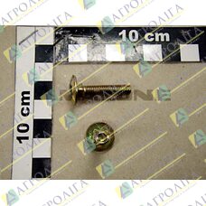 Flachrundschraube 603 6X 30 8,8 A2G