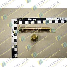 Flachrundschraube 603 10х100 8,8 A2G
