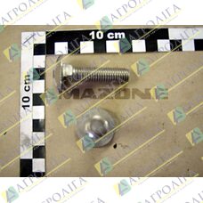 Flachrundschraube 603 12X 50 A2-70