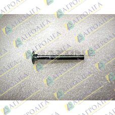 Flachrundschraube 603 8X 75 8,8 A2G
