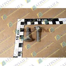 Flachrundschraube 603 8X 35 A2-70
