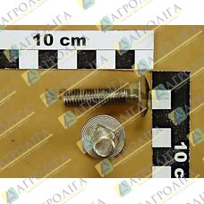 Flachrundschraube 603 10X 40 A2-70
