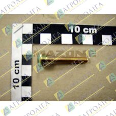 Flachrundschraube 603 6X 45X45 4.6 A2G