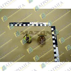 Flachrundschraube 603 16X 35 8,8 A2G
