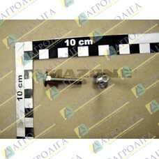 Flachrundschraube 603 6X 35x35 A2-70