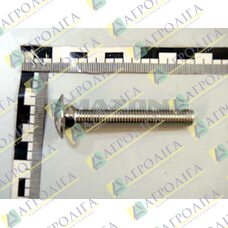 Flachrundschraube 603 10X 70 A2-70