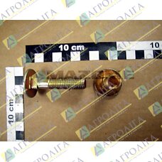 Flachrundschraube 603 12X 55 8,8 A2G