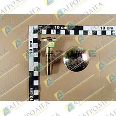 Flachrundschraube 603 16X 70 8,8 A2G