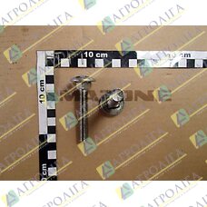 Flachrundschraube 603 12X 70 A2-70