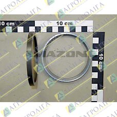 IMPACT RING