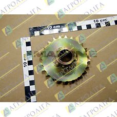 KETTENRAD Z = 24 DI = 25 (FE // // ZN12 С) (СО)