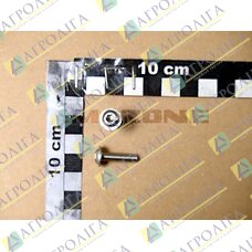 Linsenflanschschraube DIN 7380 5X20 A2-70