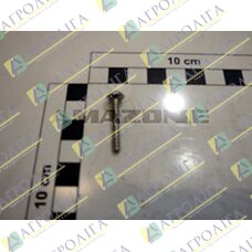 Linsenflanschschraube 4x25 A2