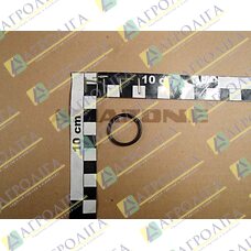O-RING    22,00X2,5