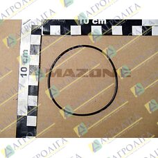O-RING    66,40X1,78       NBR70